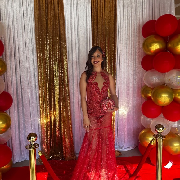 Prom dress - Picture 3 of 9